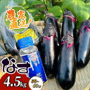 【ふるさと納税】 【最短7日以内発送!】 農家直送 土佐の美味茄子の新鮮ナス 4.5kg (室戸海洋深層水にがり使用) 野菜 なす ナス 常温 小袋 国産 夏野菜 茄子 小分け 旬 高知 bn006