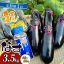 【ふるさと納税】 【定期便3回発送】 【定期便3回発送】 農家直送 土佐の美味茄子の新鮮ナス 3.5kg (室戸海洋深層水にがり使用) 野菜 なす ナス 常温 小袋 国産 夏野菜 茄子 小分け 旬 高知 bn010