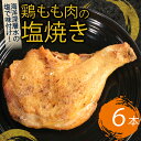 【ふるさと納税】 初音 彩どり 鶏もも肉の塩焼き 6本 1本あたり約250g (調理後) 骨付き 味付き 肉 鶏肉 もも肉 モモ肉 鳥肉 とり肉 焼き鳥 焼鳥 やきとり ヤキトリ パーティー 惣菜 冷凍 簡単調理 送料無料 hn012
