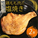【ふるさと納税】 初音 彩どり 鶏もも肉の塩焼き 2本 1本あたり約250g (調理後) 骨付き 味付き 肉 鶏肉 もも肉 モモ肉 鳥肉 とり肉 焼き鳥 焼鳥 やきとり ヤキトリ パーティー 惣菜 冷凍 簡単調理 送料無料 hn008