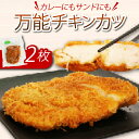 【ふるさと納税】 初音 彩どり チキンカツ 2枚 約300g×2 肉 鶏肉 もも肉 モモ肉 鳥肉 惣菜 おかず 冷凍 簡単調理 送料無料 hn020