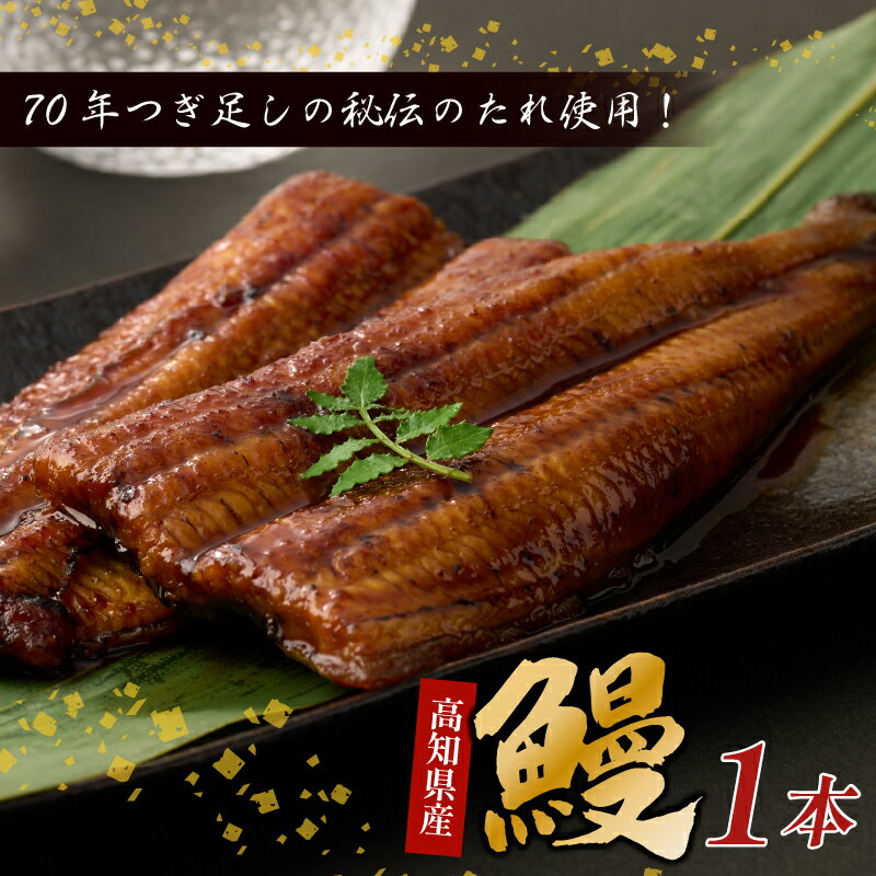 うなぎ蒲焼き 1本 約190g〜220g タレ付き ウナギ 鰻 初音 国産 高知県産 魚 魚介類 冷凍 15,000円 送料無料 hn088 土用の丑の日