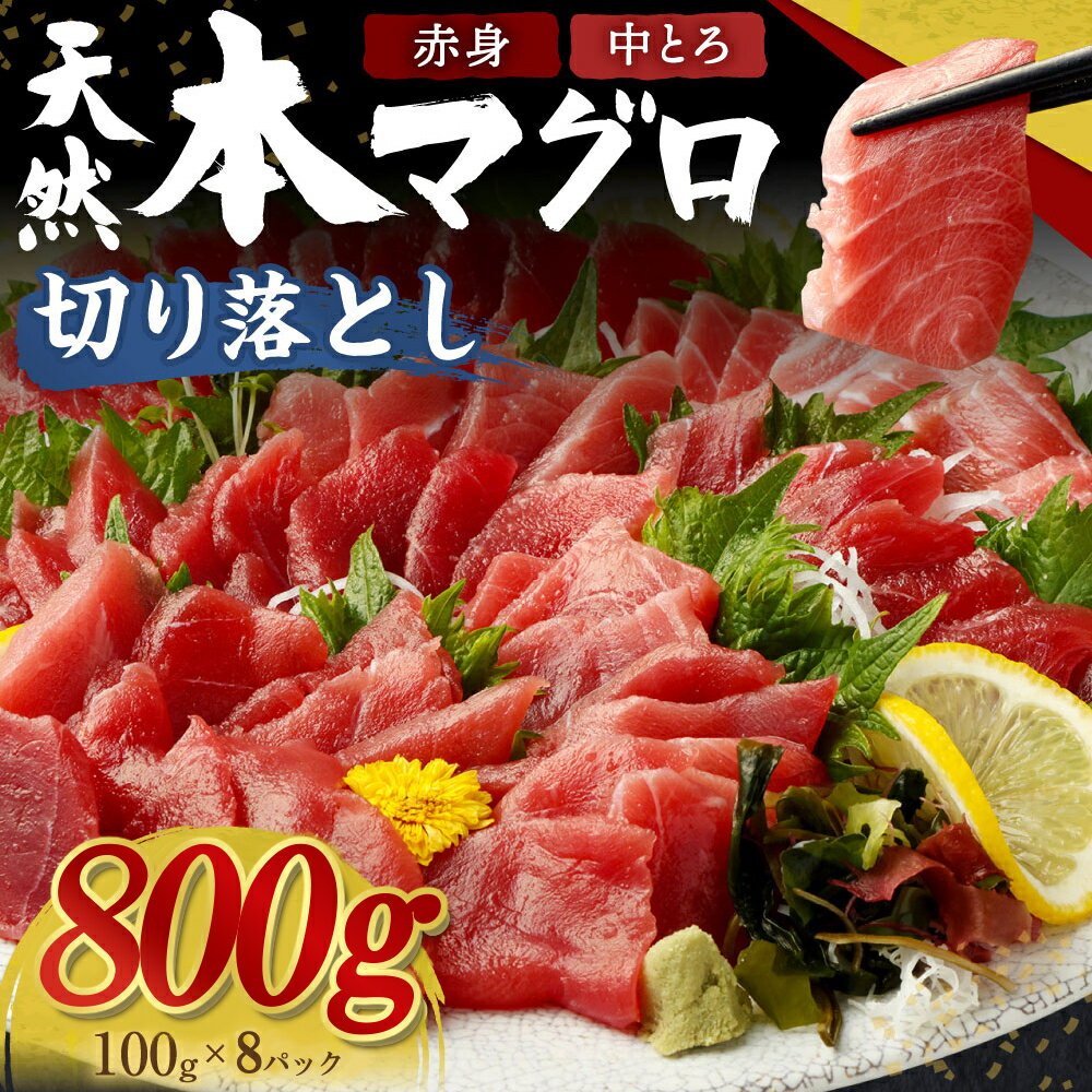 本マグロ (赤身・中とろ) 切り落とし 800g (100g×8パック) 天然まぐろ 鮪 刺身 刺し身 マグロ丼 魚 寿司 惣菜 海鮮丼 魚介類 食べきりサイズ 小分け 冷凍 訳あり 海鮮 漬け 丼 不揃い マグロ漬け丼 傷 規格外 20000円 送料無料