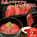 【ふるさと納税】 【容量選べる】 天然 メバチマグロ 切り落とし 400g ~ 2kg 100g×4~20パック 赤身 めばちまぐろ 目鉢 マグロ 鮪 中トロ 天然 天然まぐろ 天然マグロ 刺身 お刺身 食べ比べ 海鮮丼 丼 魚 さかな 新鮮 高知 室戸 冷凍 小分け 海鮮