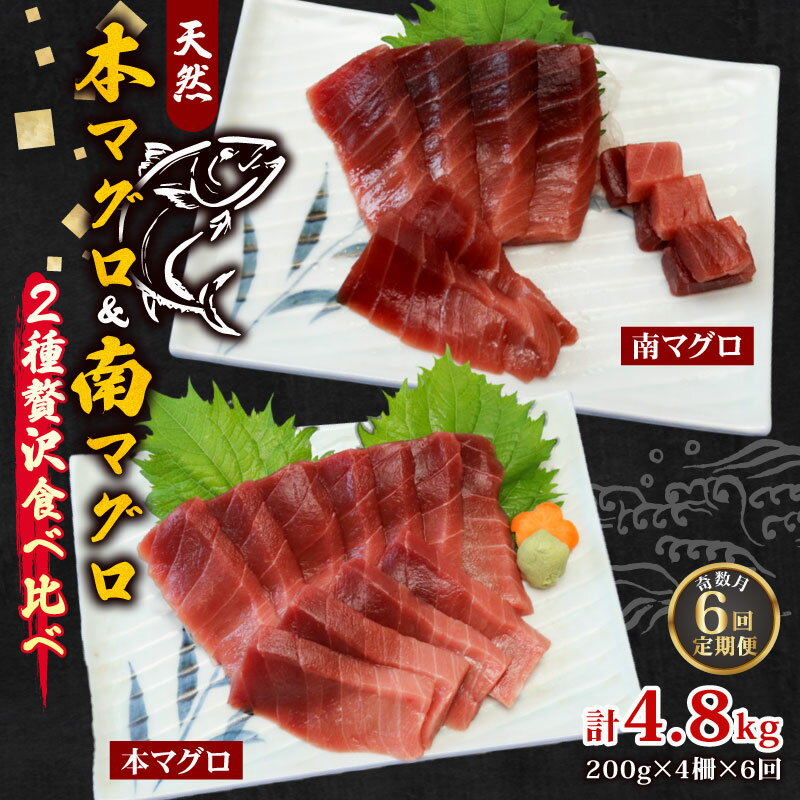 【ふるさと納税】 【6回定期便】 天然本マグロ 天然南マグロ 中トロ 各2柵 奇数月にお届け 刺身 漬け丼 海鮮丼 マグロ丼 ちらし寿司 鮪 まぐろ ネギトロ丼...