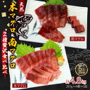 【ふるさと納税】 【6回定期便】 天然本マグロ 天然南マグロ 中トロ 各2柵 偶数月にお届け 刺身 漬け丼 海鮮丼 マグロ丼 ちらし寿司 鮪 まぐろ ネギトロ丼...