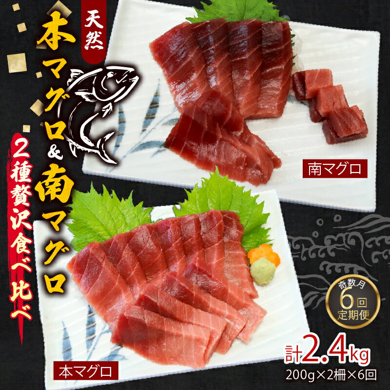 【ふるさと納税】 【6回定期便】 天然本マグロ 天然南マグロ 中トロ 各1柵 奇数月にお届け 刺身 漬け丼 海鮮丼 マグロ丼 ちらし寿司 鮪 まぐろ ネギトロ丼...