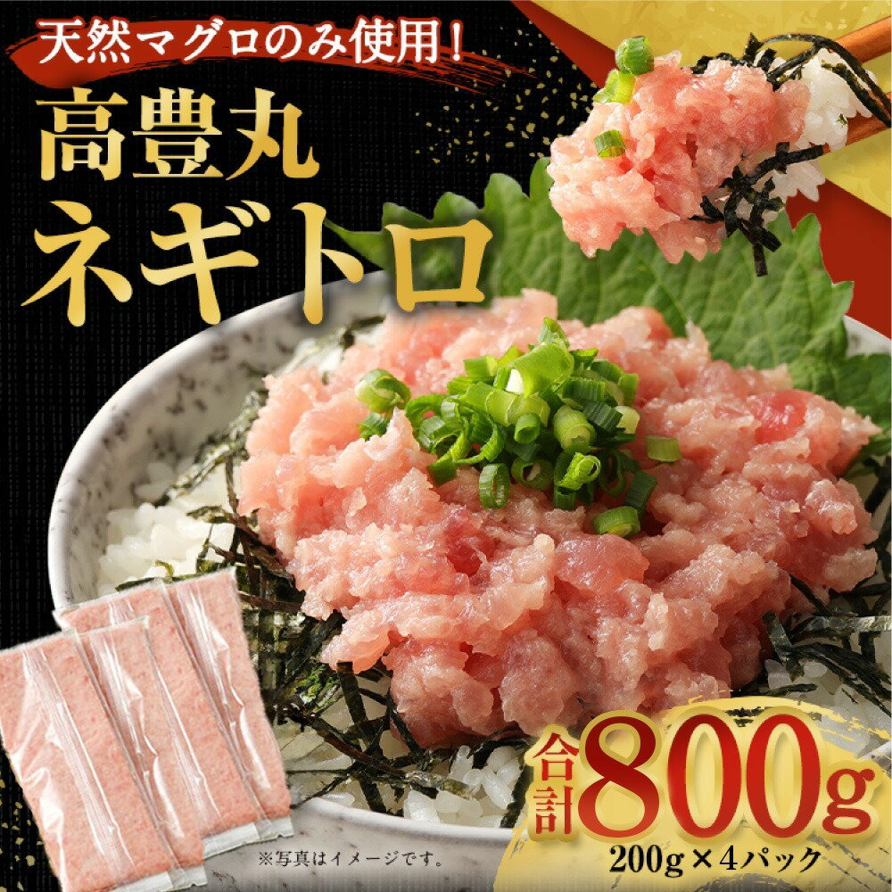 【ふるさと納税】 ネギトロ 800g (200g×4パック) 冷凍 小分け | ねぎとろ 国産 まぐろ 鮪 まぐろたたき ギフト 個包装 魚 魚介 海鮮 新鮮 ...