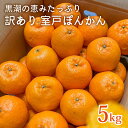 【ふるさと納税】【先行予約】ぽんかん LLサイズ 5kg|農家直送 甘い 訳あり 家庭用 数量限定 ポンカン 濃厚 柑橘 果物 みかん 蜜柑 旬 人気 高知県 ...