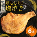 【ふるさと納税】 初音 彩どり 鶏もも肉の塩焼き 6本 1本あたり約250g (調理後) 骨付き 味付き 肉 鶏肉 もも肉 モモ肉 鳥肉 とり肉 焼き鳥 焼鳥 ...