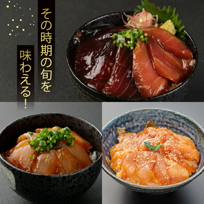 【ふるさと納税】 【選べる定期便】板前特製たれ仕込み！初音の旬の魚の漬け丼2セット 漬け丼 海鮮丼 漬け魚 惣菜 おつまみ サラダ 簡単調理 魚介類 定期便 冷凍 送料無料