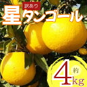 【ふるさと納税】 【先行予約】 【訳あり】星タンゴール 4kg みかん 柑橘 オレンジ 清見 タンゴール 果物 フルーツ 高知県産柑橘 農家直送 数量 果汁 く...