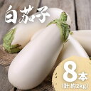 【ふるさと納税】 農家直送 白茄子 土佐の美味茄子の新鮮ナス 8本 2kg 野菜 なす ナス 常温 小袋 国産 夏野菜 茄子 小分け 旬 高知