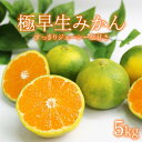 【ふるさと納税】 【先行予約】 極早生みかん 5kg フルーツ 果物 柑橘系 限定 みかん ミカン 数量限定 送料無料 <9月中旬より発送> rk049