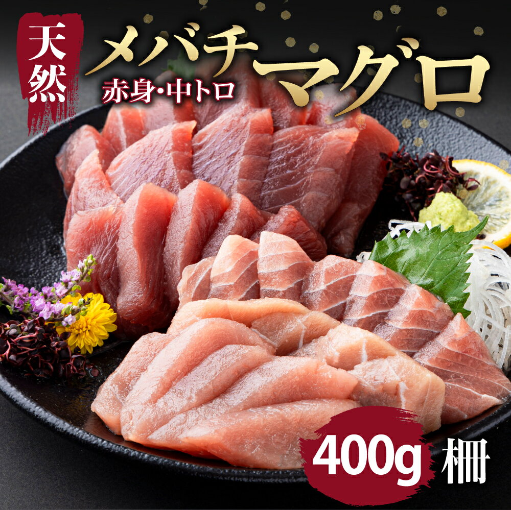 [天然まぐろ] 中トロ・赤身 柵 400gセット(100g×4pc) サク さく メバチ 目鉢 マグロ 鮪 まぐろ 100% 冷凍 刺身 海鮮 丼 刺し身 小分け 高知 室戸 8000円