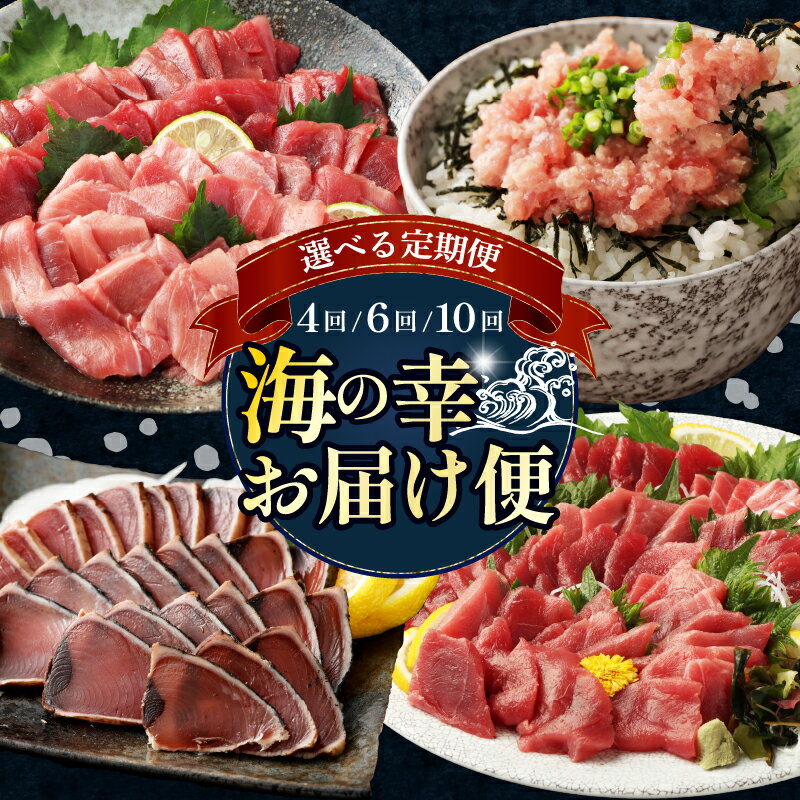 [ 選べる定期便 ] タカシン水産厳選 海の幸お届けセット 4ヶ月連続 マグロ 刺身 刺し身 魚 惣菜 海鮮丼 魚介類 食べきりサイズ 小分け 冷凍 訳あり 不揃い 規格外 定期 連続 50,000円 寄付額見直し