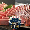 【ふるさと納税】 【 全2回定期便 】海鮮 食べ比べ セット 鮪 鰹 定期 セット まぐろ カツオのたたき 本マグロ 中トロ 赤身 刺身 海鮮 鰹 切り落とし ...