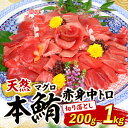 【ふるさと納税】 【容量選べる】本マグロ 赤身 中とろ 切り落とし 200g 〜 1kg | 小分け 冷凍 天然まぐろ 鮪 刺身 刺し身 ふるさと納税魚介 寿司...