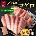 【ふるさと納税】 【3回定期便】 天然メバチマグロ 【 中トロ 】 200g(柵) メバチマグロ めばちまぐろ めばち メバチ まぐろ マグロ 鮪 サク 柵 中...