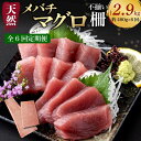 【ふるさと納税】 【6回定期便】 訳あり 天然メバチマグロ 480g (不揃い柵) メバチマグロ めばちまぐろ めばち メバチ まぐろ マグロ 鮪 サク 柵 中...