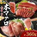 【ふるさと納税】 天然本まぐろ 赤身 中トロ 切落し 計360g お手軽 食べきりサイズ 切り落とし お刺身 魚介類 海鮮 小分け 魚 天然まぐろ 魚貝 マグロ 高知県 簡単解凍 簡単調理 惣菜 冷凍