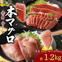 【ふるさと納税】 天然本まぐろ 赤身 中トロ 切落し 計1.2kg お手軽 食べきりサイズ 切り落とし お刺身 魚介類 海鮮 小分け 魚 天然まぐろ 魚貝 マグロ 高知県 簡単解凍 簡単調理 惣菜 冷凍