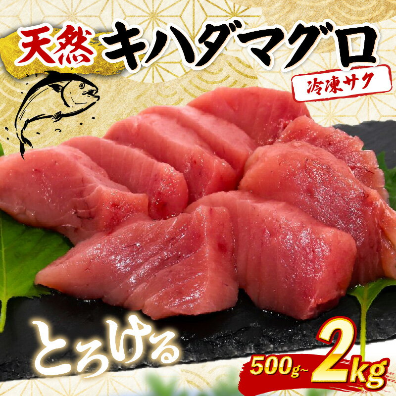天然 キハダマグロ 500g 〜 2kg 赤身 マグロ 鮪 刺身用 柵 海鮮 魚介 魚 海鮮丼 手巻き寿司 寿司 高知県 室戸市