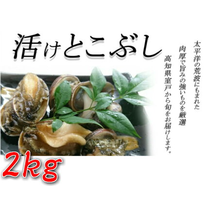 UO006活けとこぶし【2kg】