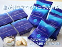 【ふるさと納税】 塩バニラアイス 9個セット(もなか&カップ)室戸海洋...(4)