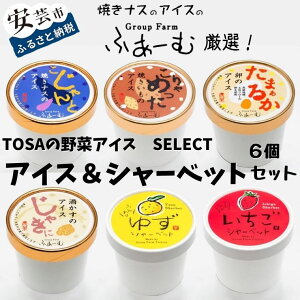 【ふるさと納税】TOSAの野菜アイス！SELECT アイス＆シャーベット 6個セット　ご当地アイスグ...