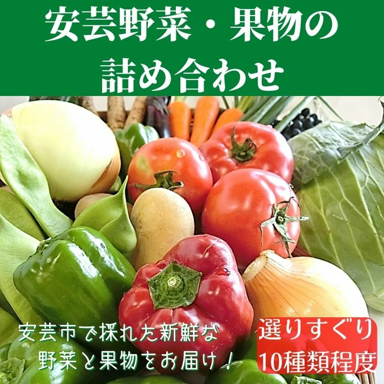 1-3:安芸野菜・果物詰め合わせ 高知県安芸市 安芸駅ぢばさん市場 新鮮野菜 季節の果物 10種類程度 野菜 果物 詰め合わせ 採れたて 旬の野菜セット 健康 栄養