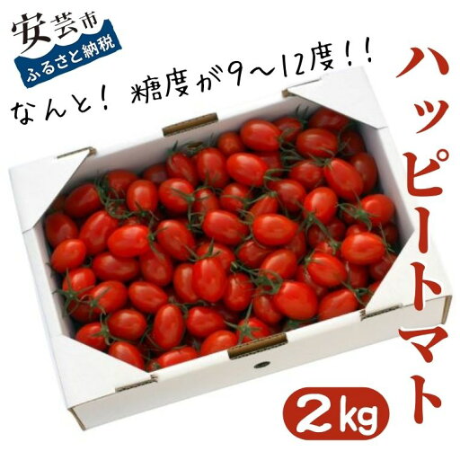 【ふるさと納税】<先行受付開始>ハッピートマト2kg 【ふるさと納税】<先行受付開始>ハッピートマト2kg