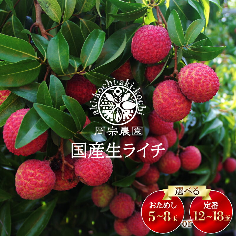 【ふるさと納税】 先行予約 生ライチ 令和8年産 5個 〜 8個 12個 〜18個 選べる おためし 定番 ライチ メリーガーデン 高級 贈答 ギフト フルーツ...