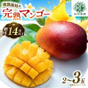 【ふるさと納税】 先行予約 完熟 マンゴー 2玉 ~ 3玉 800g ~ 900g フルーツ 果物 くだもの 季節限定 期間限定 旬 限定 期間限定 高糖度 南国フルーツ 南国マンゴー スイーツ デザート アレンジ プリン ケーキ スムージー 国産 先行受付 メリーガーデン 高知県安芸市
