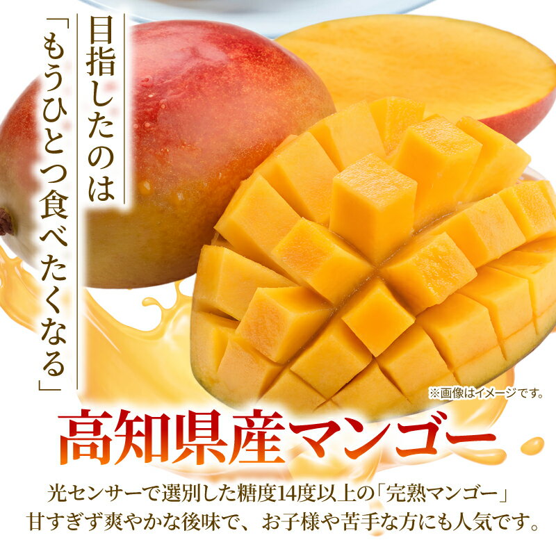 【ふるさと納税】 先行予約 2026年発送分 完熟 マンゴー 2玉 ～ 3玉 800g ～ 900g フルーツ 果物 くだもの 季節限定 期間限定 旬 限定 期間限定 産地直送 スイーツ デザート アレンジ プリン ケーキ スムージー マンゴー 国産マンゴー 先行受付 高知県安芸市