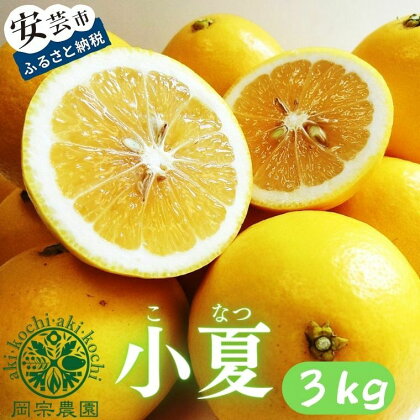 0.-(25)メリーガーデンの小夏　3キロ　高知県安芸市　メリーガーデン　小夏　柑橘類　果物　フルーツ