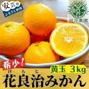 【ふるさと納税】【先行予約】【令和7年産】 みかん 黄玉 3kg フルーツ 果物 期間限定 季節限定 旬 柑橘 家庭用 自宅用 ギフト プレゼント 贈答 贈答用 花良治みかん けらじみかん オレンジ デザート スイーツ アレンジ ケーキ メリーガーデン 高知県産 高知県安芸市