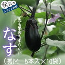 【ふるさと納税】高知県安芸市産ナス（秀M　5本入　10袋）　高知県安芸市　こうち絆ファーム　なす　野菜　生産量日本一　漬物　味噌汁　浅漬け　エコシステム栽培