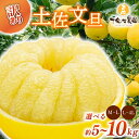 【ふるさと納税】先行予約 訳あり 土佐文旦 選べる サイズ 5kg 10kg わけあり 先行予約 果物 フルーツ 2月~4月頃配送予定 産地直送 国産 柑橘 文旦 ぶんたん 土佐ぶんたん 小玉 大玉 家庭用 高知県 安芸市