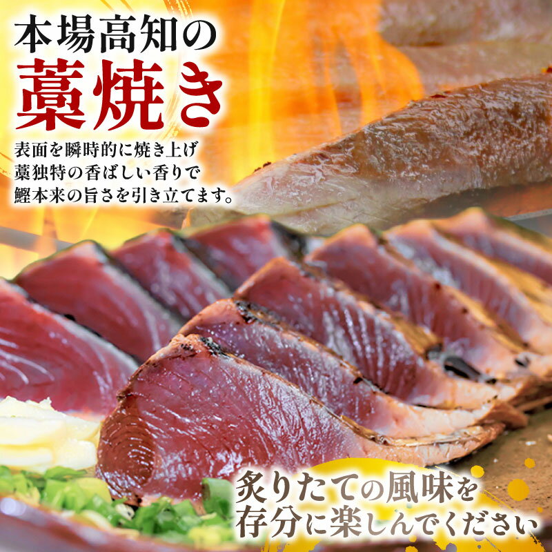 【ふるさと納税】本場 高知の初カツオと戻りカツオのたたき定期便 2節セット×2回　高知県安芸市　魚屋が目利きした新鮮なかつお　鰹　地域で人気の有名店　送料無料