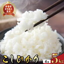 【ふるさと納税】 初回 スピード発送 令和7年産 お米 定期便 5kg 4回 コシヒカリ 白米 5キロ × 4回 20kg 4ヵ月連続 お届け 新米 ごはん お...
