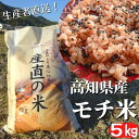 【ふるさと納税】《令和5年産》モチ米 5kg 高知県安芸市 高知県産 農家直送 もち米