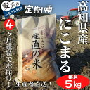 【ふるさと納税】《令和5年産》4ヵ月連続でお届け！「にこまる（白米）」定期便　5kg×4回　高知県安芸市　高知産