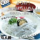 【ふるさと納税】18-(5)．どろめ！釜あげちりめん！特製たれ・薬味セット（4人前）