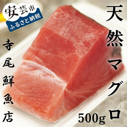 天然まぐろ 赤身 500g 冷凍 キハダマグロ　高知県安芸市　寺尾鮮魚　老舗　まぐろ　赤身　天然マグロ　鮮度抜群　お刺身　海鮮丼　漬け丼