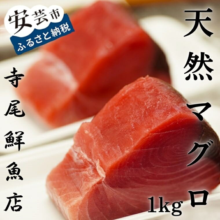 40位! 口コミ数「0件」評価「0」天然まぐろ 赤身 1kg 冷凍 キハダマグロ　高知県安芸市　寺尾鮮魚　老舗　まぐろ　赤身　天然マグロ　鮮度抜群　お刺身　海鮮丼　漬け丼