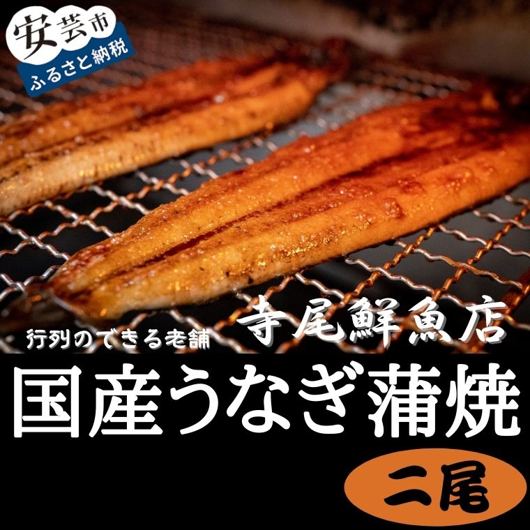 うなぎ蒲焼 国産 2尾 冷凍 タレ付き　高知県安芸市　寺尾鮮魚　ウナギ　鰻　かば焼き　国産　創業60年以上　行列のできる老舗　特製たれ付き