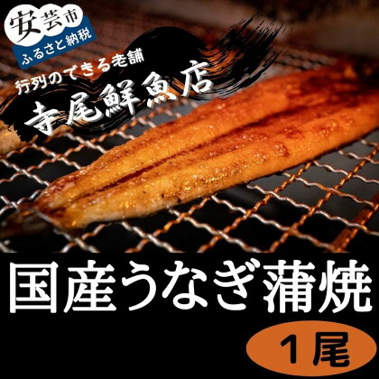 うなぎ蒲焼 国産 1尾 冷凍 タレ付き　高知県安芸市　寺尾鮮魚　ウナギ　鰻　かば焼き　国産　創業60年以上　行列のできる老舗　特製たれ付き