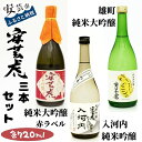 【ふるさと納税】安芸虎純米大吟醸 赤 ・雄町純米大吟醸・純米吟醸入河内セット 高知県安芸市 有光酒造 純米大吟醸酒 純米吟醸酒 飲み比べセット ギフト お歳暮 お土産 プレゼント