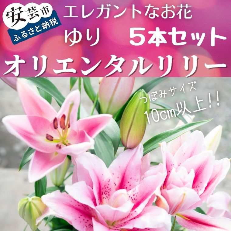 ユリ(オリエンタルリリー)5本セット 高知県安芸市「福田園芸」 ゆり オリエンタル・ハイブリット 大輪で香りが良く、ユリの王様、女王と呼ばれています ギフトにもおすすめ プレゼント 送料無料